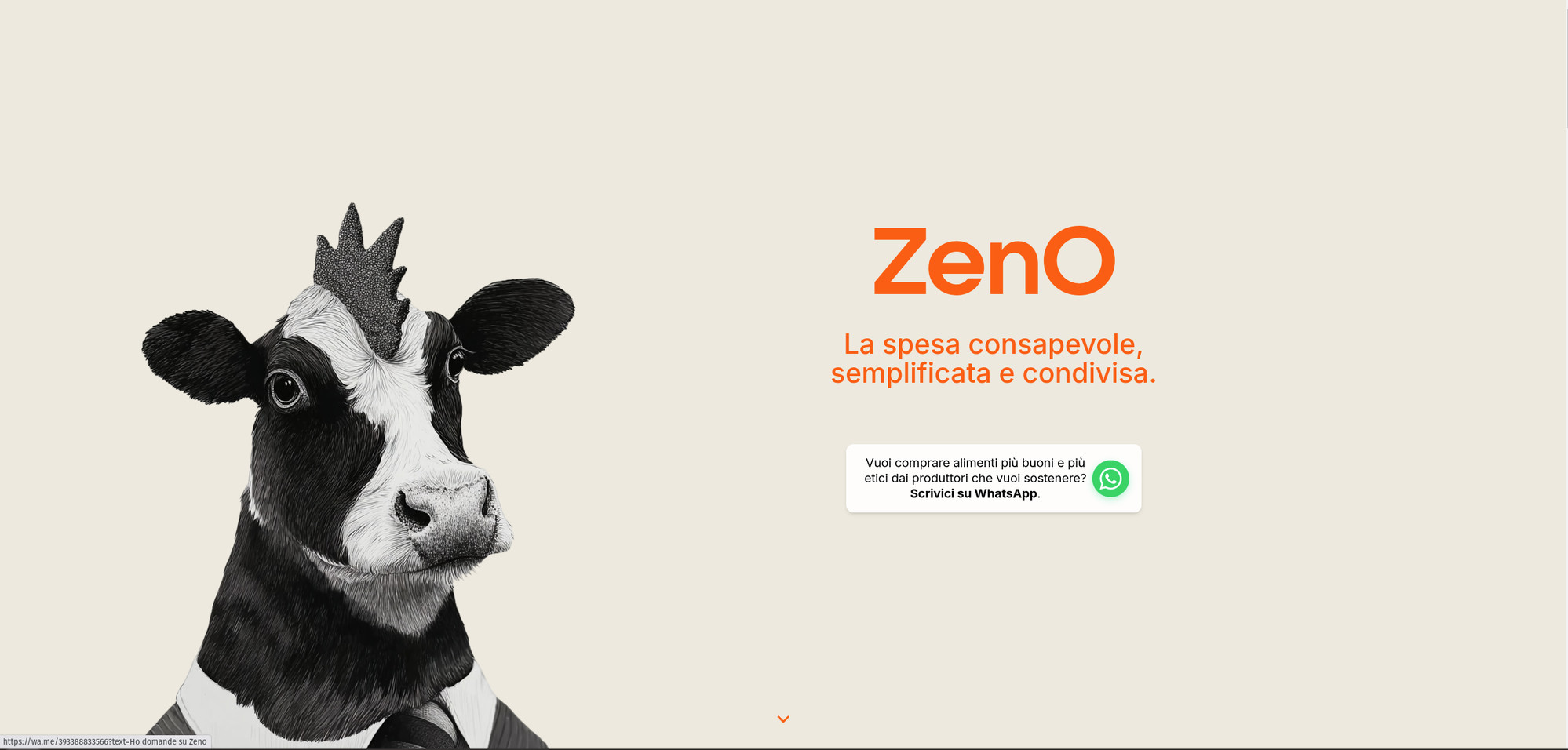 ZenO — Site Improvements & Email Integration